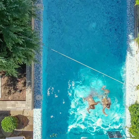 Arcadia *